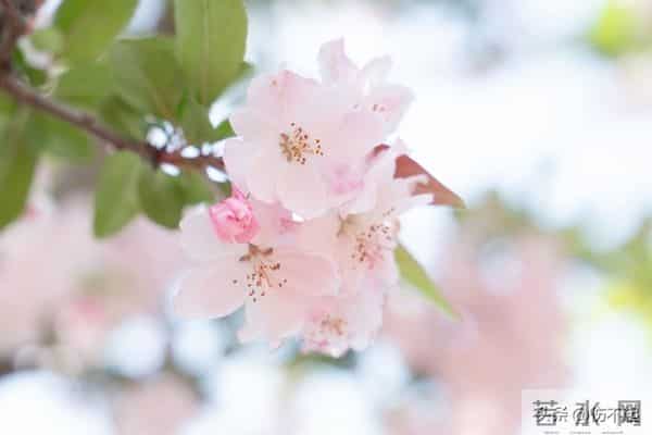 女人主动“勾”你时，不会说“我喜欢你”，却常说这5句话