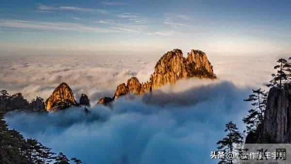 不必追他人花期,忙中守心自有节奏,专注热爱终成更好的自己