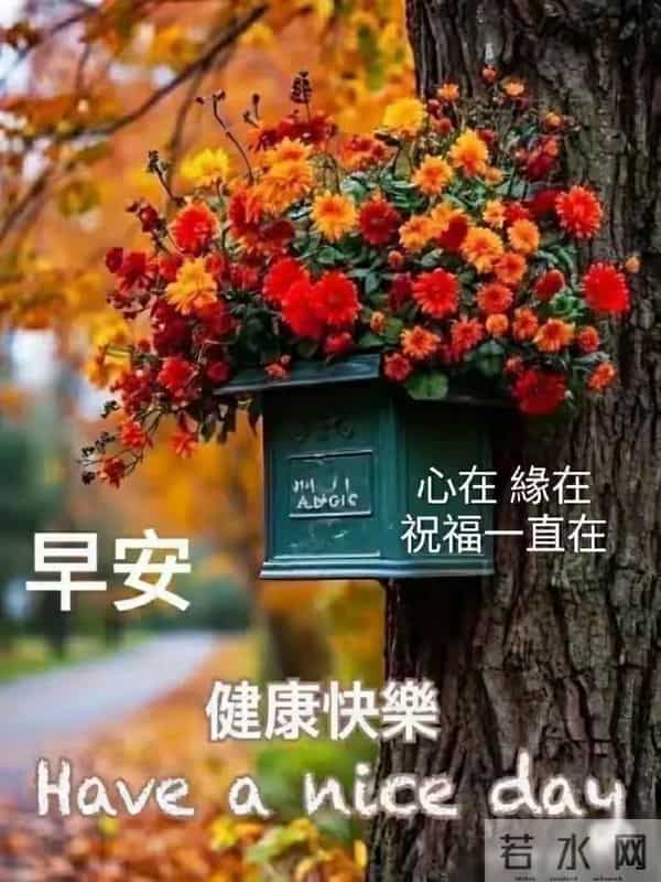 12月6日星期六早安祝福图片