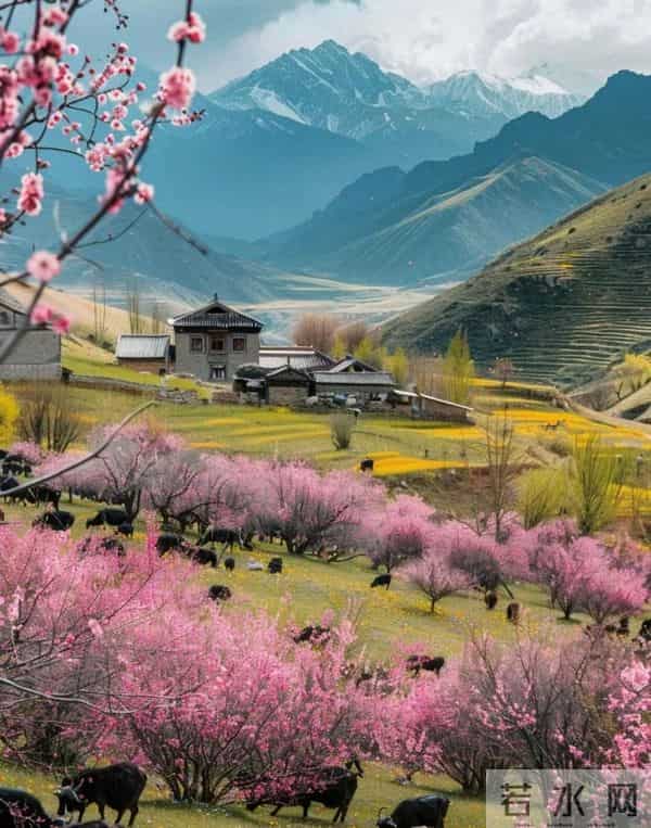 50句人生智慧箴言,值得反复品读收藏