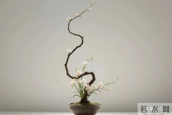 人有本事，一看便知：这四个特征藏不住