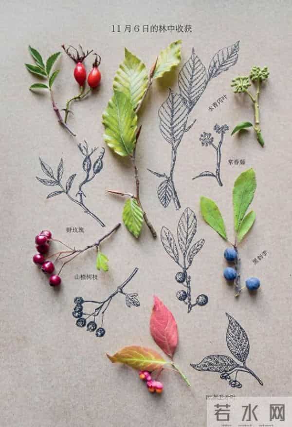 《大自然治好了我的抑郁症》:心不舒服了,推门走出去