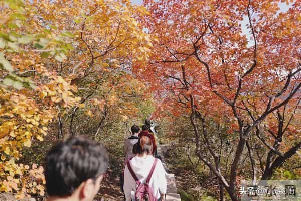 异性之间,偷偷做过这些事,就是彼此动了情