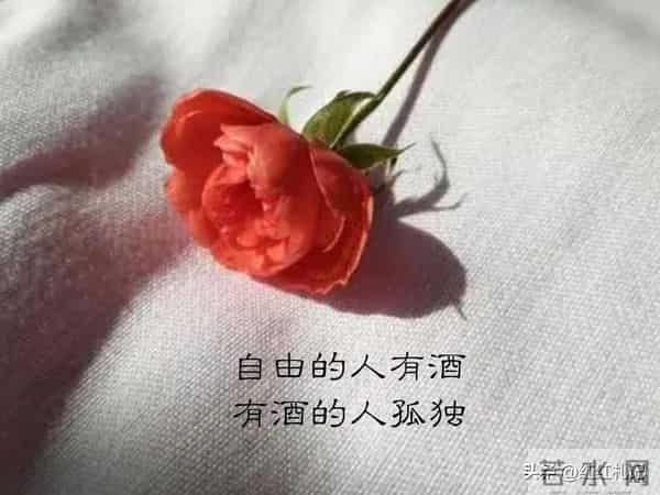 既然无缘，何须誓言。