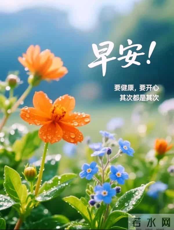 「2025.12.05」今日唯美早安祝福图片问候，温馨早上好祝福语