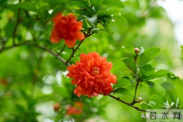 活得久的男人,没几个靠药,大多靠这三件事“想通了”