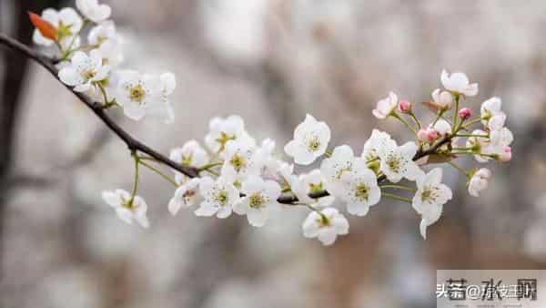 前夫退休跟我分居一年,回来跟我说:离婚吧,她已经有了我的孩子