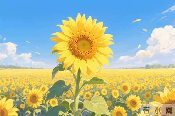 如果别人说你坏话，聪明的你会这样做，就赢了