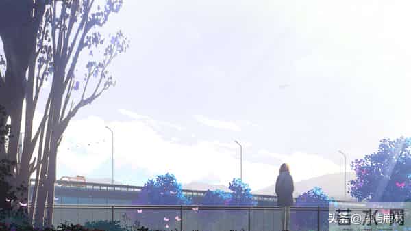 这样和你聊天的女人，大概率并不喜欢你，别再自作多情