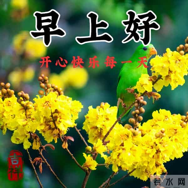 早安问候漂亮图片祝福美图