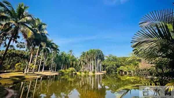 震惊现实：原来不论有钱没钱，大多数人真的是在“凑数”过日子