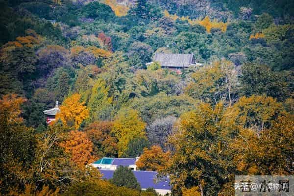 异性之间,偷偷做过这些事,就是彼此动了情