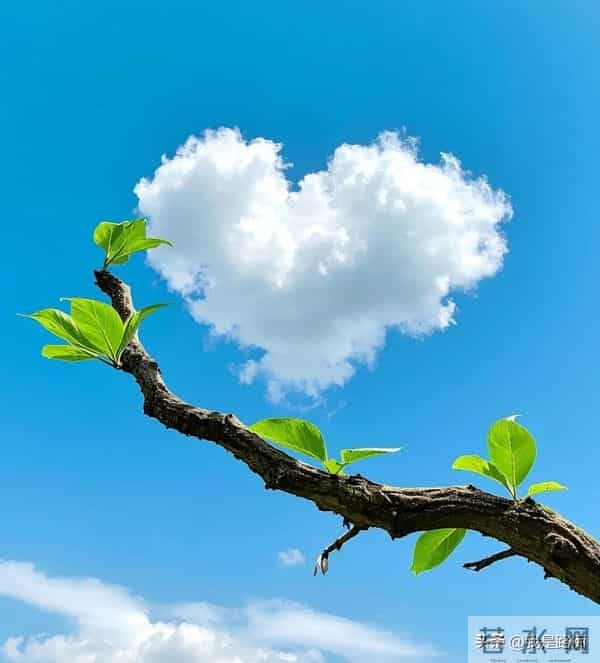 出现这些信号，说明你的苦日子到头了，老天开始给你“补糖”了