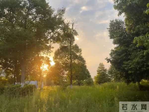 大多数女人愿意和一个男人长期保持联系，原因往往就那么两点！