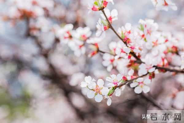 父母不在后，你会发现：真正惦记你的人，其实只剩下这三类