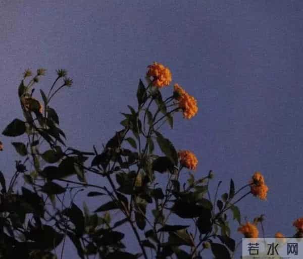 人生最顶级的活法,是学会给内心“做减法”