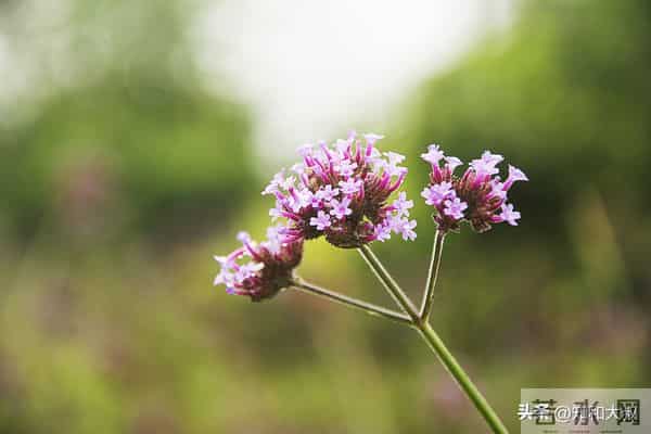 如果你处在40-55岁这个阶段，能做到以下几条，恭喜你活明白了