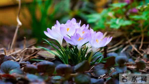 老了才明白：父母开始看你脸色了，不是他们怕你，而是他们老了