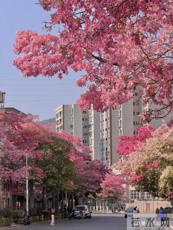 老人分两种,旺家和败家,看看你是哪一种