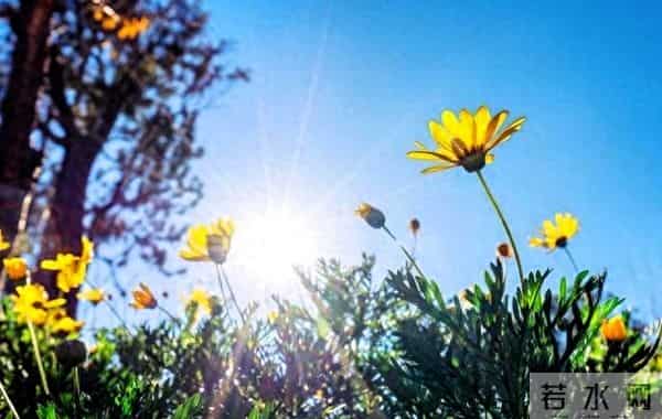 当别人对你使绊子时，最高级的反击是“懒得理”！