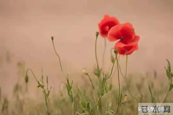 不用怀疑,女人有下面几个表现,就是生理性喜欢你,应该很准