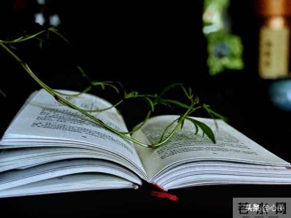 好的亲家关系:三分客气,五分分寸,两分装傻