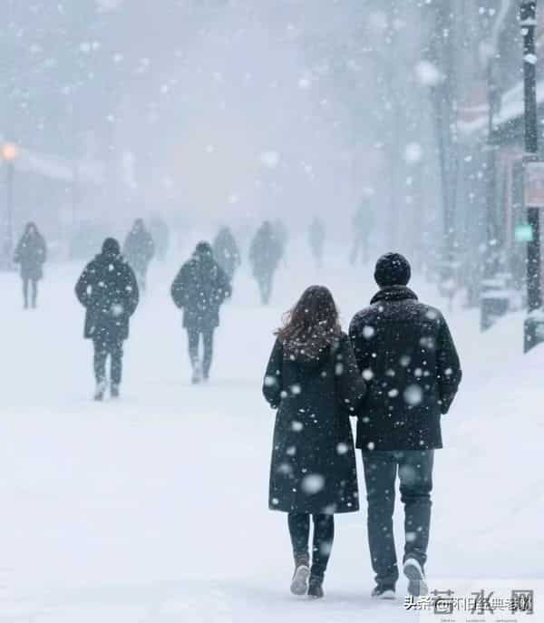 大雪：岁暮清欢，故人长伴