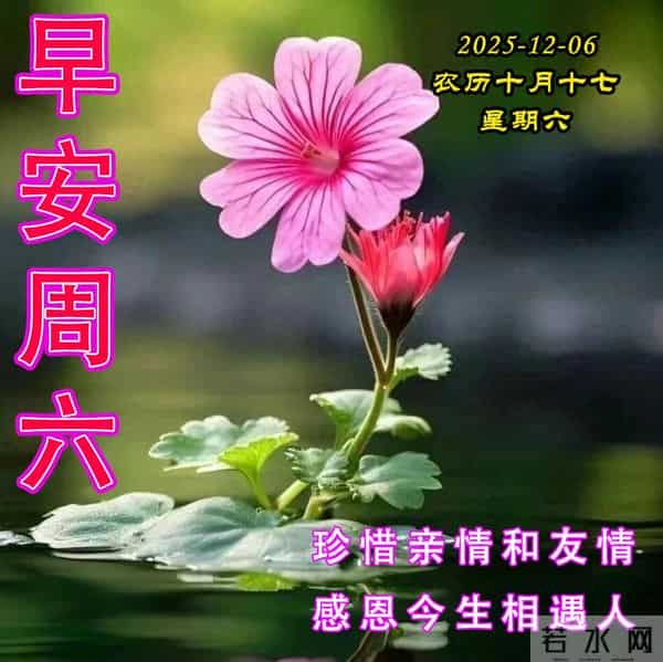 周六早安问候美图-三餐味美酣眠久，康健喜乐伴春秋