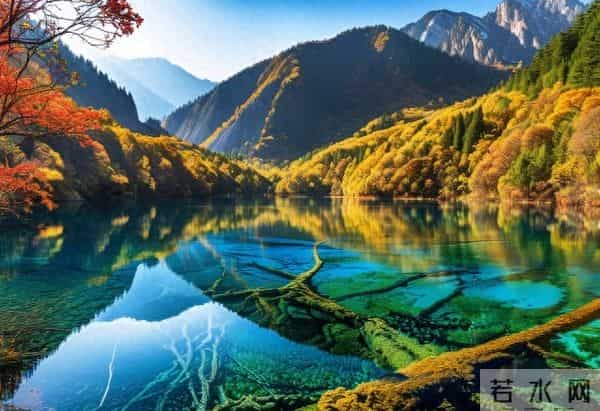 那一晚,洗完澡,我掀开了70岁老伴的被子,她说“我们分居吧”