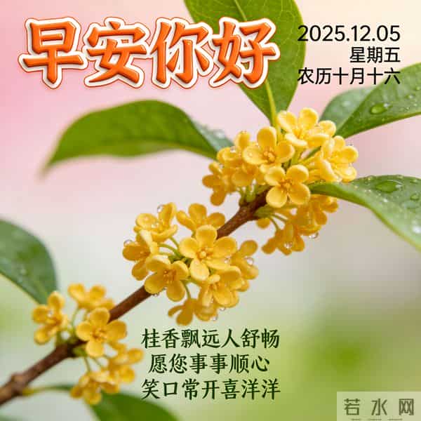 2025.12.05 早安祝福 围巾手套御寒风 亲友叮咛情意暖 早安幸福万年长