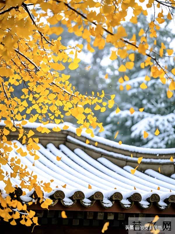 人民日报每日文摘：凡是磨你的皆是考验，渡你的都是成长