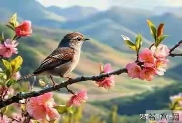 两性关系:65岁后关系再好也要警惕,这三种相处方式最伤感情!