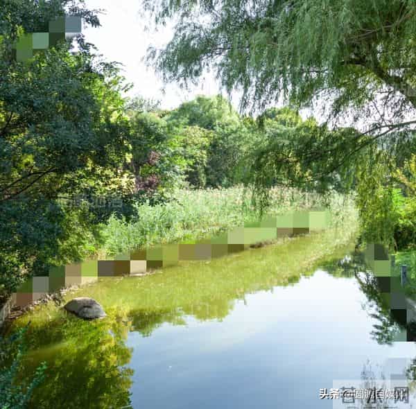 伤心女子把金手镯丢河里男子不顾寒冷捞起手镯，以为发财结果失望