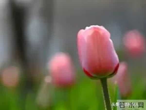 人性真相:女人问的2个问题,其实是在“倒追”你(男人别傻等)