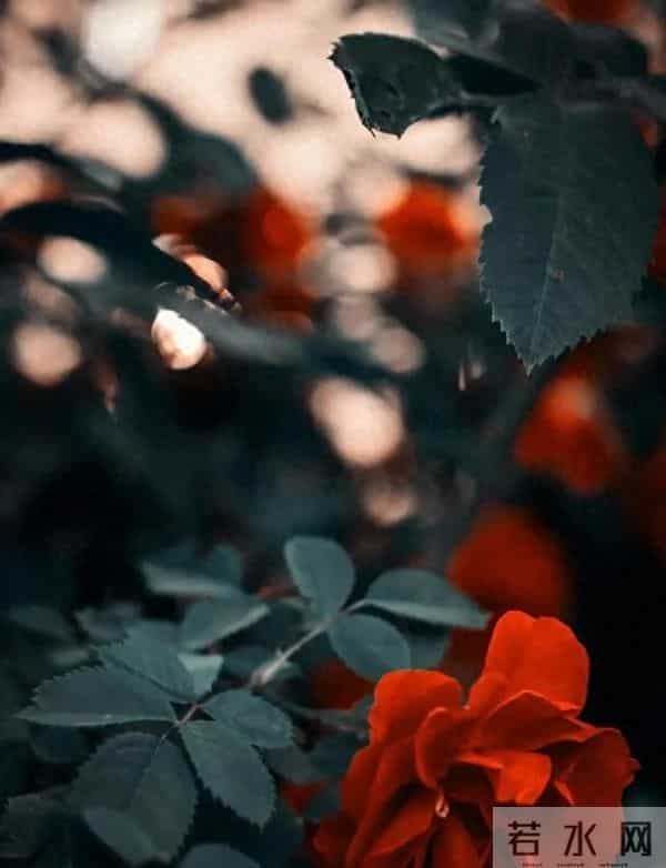 异性之间关系“越界”的开始，往往是从敢喊你这“三个字”