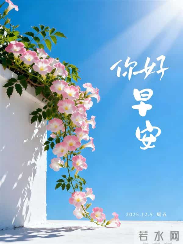 「2025.12.05」早安心语，不谈从前种种 不说如果当初 希望越来越好