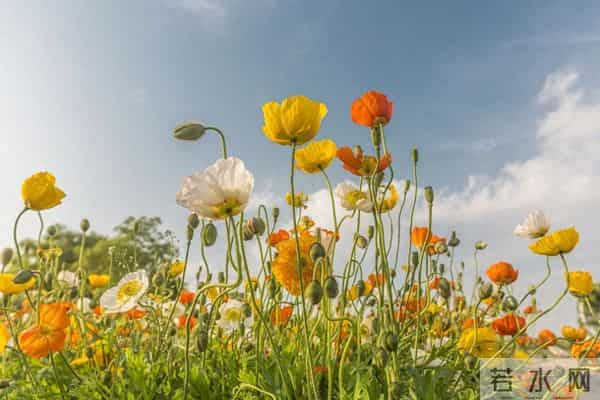 摩羯多有神明护体,起起伏伏总是人生赢家