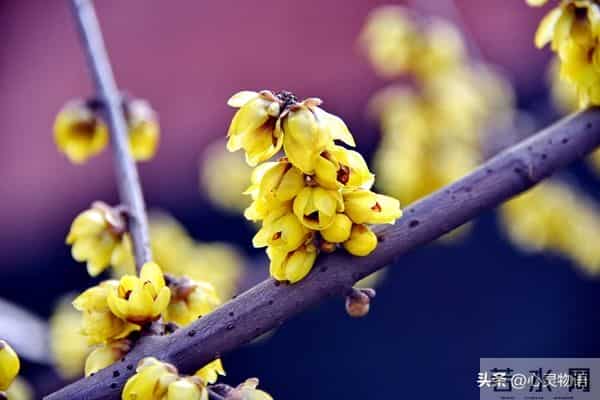 经历两次离婚,我明白了-所有夫妻关系的破裂,都始于同一个错误