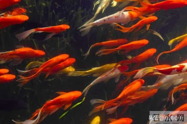 一个人要转运,只需停止做这 3 件事,奇迹马上发生。