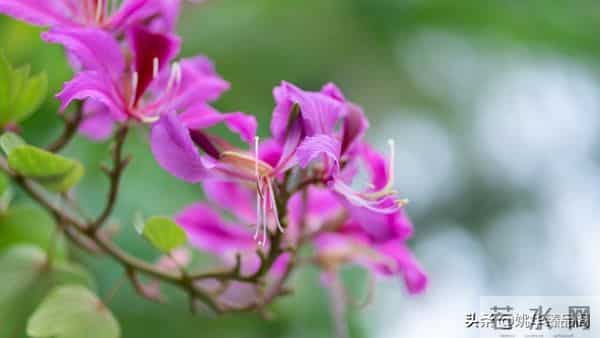 从因果定律告诉你,不要去可怜任何人,因为他们不值得