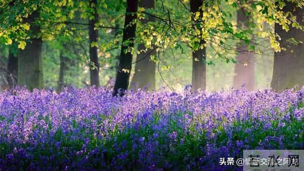 两性关系：人到70岁，如果还想再活20年，必须要记住这六句话