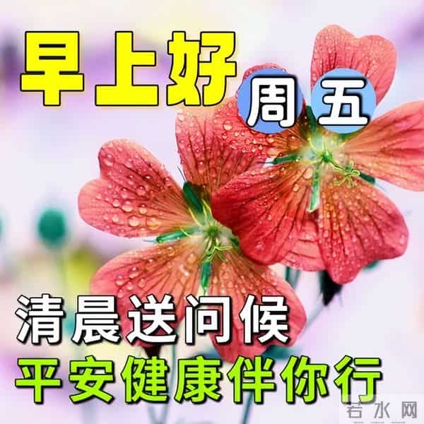 最新漂亮早上好问候图片,每天清晨激励语,愿你健康如意幸福安康