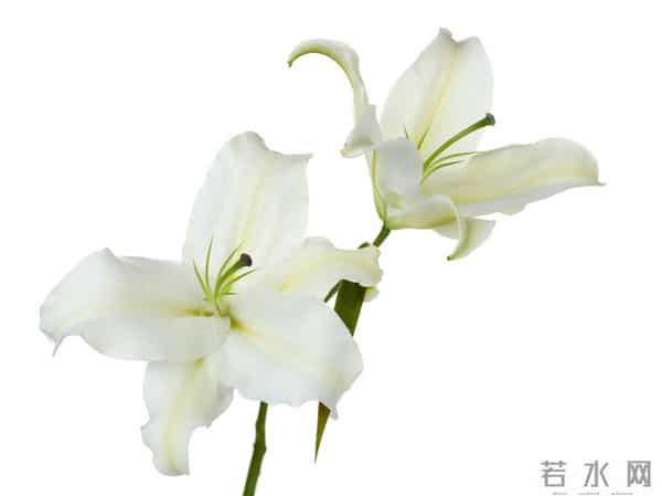 事实上，男人的三个不允许，是离不开你的标志