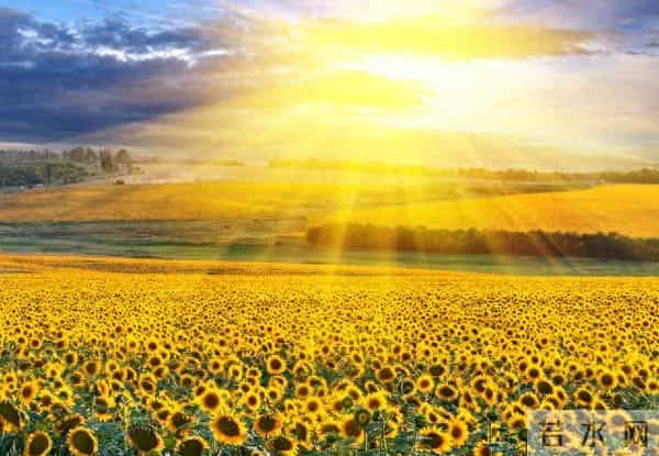 最大的福报已到,请签收:你若不盛开,贵人何处来?