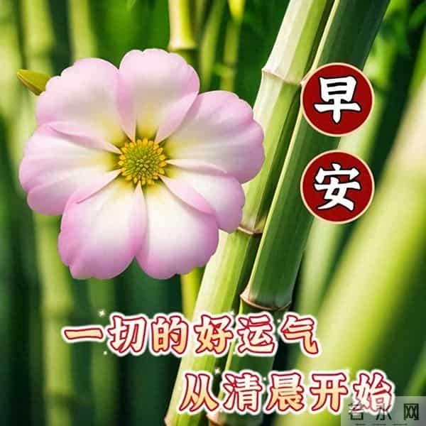 12月5日早安祝福每日更新,早上好问候语冬季,愿你冬日温暖相伴