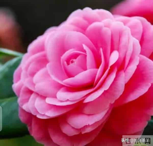 情感:女人过中年,最渴望的“肉麻”行为竟然是这些!