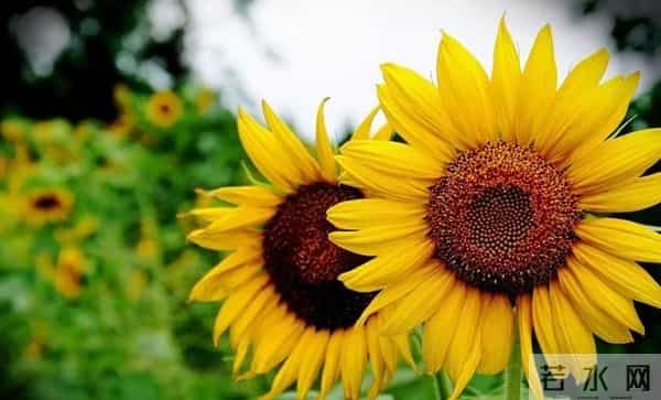 赶走我妈，公婆如愿住进来，2周后老公把人送走，再不敢嘴硬逞强