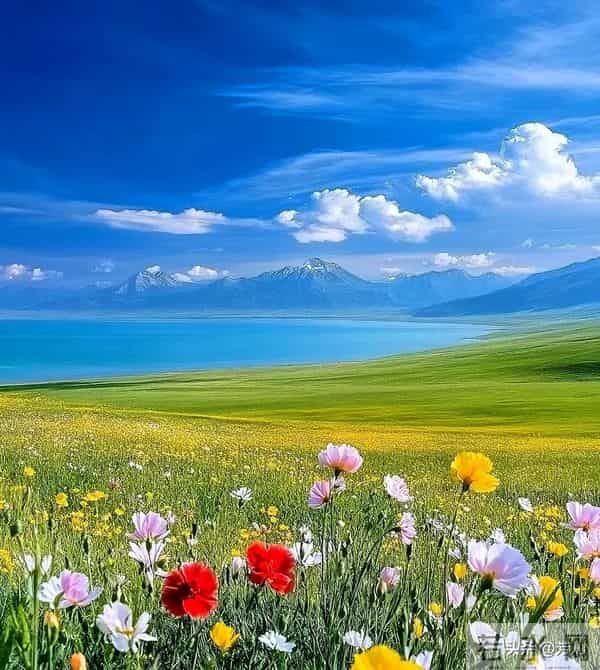 女人敢要你这东西,百分百是真心喜欢你!