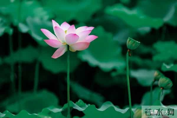 人老了,这6样,你占一样就了不起,全占简直是人生赢家!