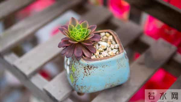 母亲住院女儿伺候，出院让儿女均摊费用，大哥一句话母亲才知错了